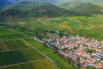 Vue aérienne de Vignoble Deidesheimer Paradiesgarten à Deidesheim dans le département Rhénanie-Palatinat, Allemagne
