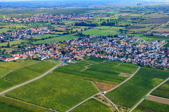 Vue aérienne de Village viticole du sud-ouest à Ruppertsberg dans le département Rhénanie-Palatinat, Allemagne