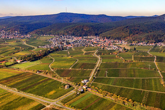 Vue aérienne de Deidesheimer Straße à le quartier Königsbach in Neustadt an der Weinstraße dans le département Rhénanie-Palatinat, Allemagne