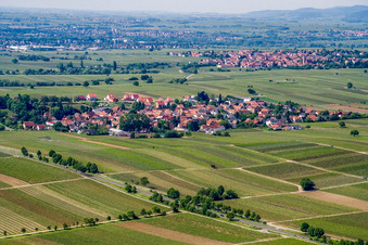 Photographie aérienne de Lieu dans les vignobles du nord-est à Roschbach dans le département Rhénanie-Palatinat, Allemagne
