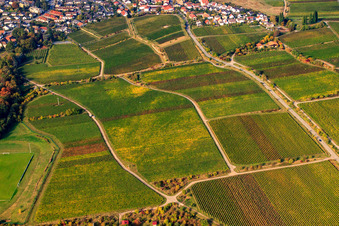 Vue aérienne de Croix de chemin à Harlenweg à le quartier Königsbach in Neustadt an der Weinstraße dans le département Rhénanie-Palatinat, Allemagne