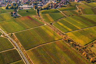 Vue aérienne de Ligne de chemin de fer entre les vignes dans les feuilles d'automne à le quartier Mußbach in Neustadt an der Weinstraße dans le département Rhénanie-Palatinat, Allemagne