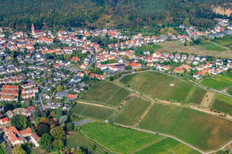 Vue aérienne de Vue de la ville depuis l'est avec la région viticole Königsbach-Neustadt GmbH à le quartier Königsbach in Neustadt an der Weinstraße dans le département Rhénanie-Palatinat, Allemagne