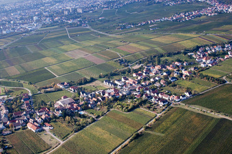 Vue aérienne de Kurpfalzstraße Loblocher Straße à le quartier Mußbach in Neustadt an der Weinstraße dans le département Rhénanie-Palatinat, Allemagne
