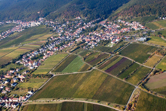 Vue aérienne de Kurpfalzstraße Meerspinnstr à le quartier Gimmeldingen in Neustadt an der Weinstraße dans le département Rhénanie-Palatinat, Allemagne