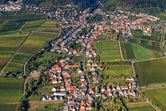 Vue aérienne de Kurpfalzstraße Loblocher Straße à le quartier Mußbach in Neustadt an der Weinstraße dans le département Rhénanie-Palatinat, Allemagne