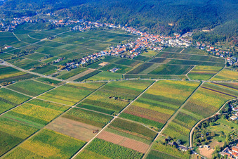 Vue aérienne de Anneau d'amandes du nord-est à le quartier Haardt in Neustadt an der Weinstraße dans le département Rhénanie-Palatinat, Allemagne