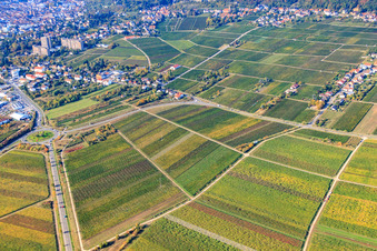Vue oblique de Du nord-est à Neustadt an der Weinstraße dans le département Rhénanie-Palatinat, Allemagne