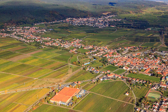 Vue aérienne de Du sud à le quartier Mußbach an der Weinstraße in Neustadt an der Weinstraße dans le département Rhénanie-Palatinat, Allemagne