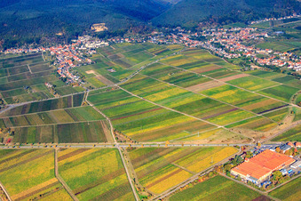 Vue aérienne de Bague aux amandes de l'Est à Neustadt an der Weinstraße dans le département Rhénanie-Palatinat, Allemagne