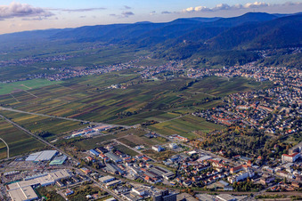 Vue aérienne de Lachener Straße à Neustadt an der Weinstraße dans le département Rhénanie-Palatinat, Allemagne