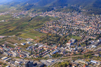 Vue aérienne de Cimetière principal à Neustadt an der Weinstraße dans le département Rhénanie-Palatinat, Allemagne