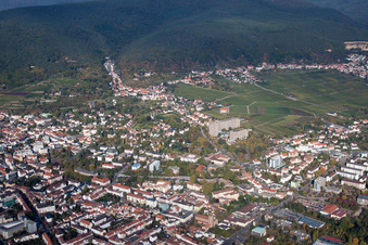 Vue aérienne de Haardter Straße à Neustadt an der Weinstraße dans le département Rhénanie-Palatinat, Allemagne