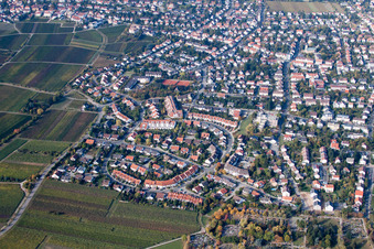 Vue aérienne de Maconring à Neustadt an der Weinstraße dans le département Rhénanie-Palatinat, Allemagne