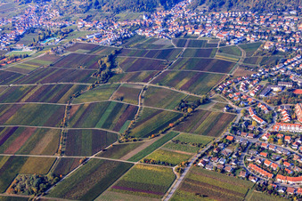 Vue aérienne de Vignoble sur Känderweg à Neustadt an der Weinstraße dans le département Rhénanie-Palatinat, Allemagne
