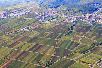 Vue aérienne de Vinothek Platz am Horstweg à le quartier Hambach an der Weinstraße in Neustadt an der Weinstraße dans le département Rhénanie-Palatinat, Allemagne