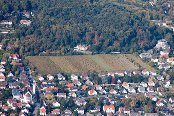 Vue aérienne de Paysage viticole des zones viticoles entre forêt et village dans le district de Hambach à Neustadt an der Weinstraße dans le département Rhénanie-Palatinat, Allemagne