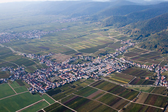 Vue aérienne de Champs agricoles et terres agricoles à le quartier Diedesfeld in Neustadt an der Weinstraße dans le département Rhénanie-Palatinat, Allemagne