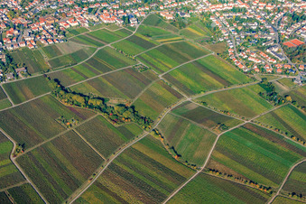 Vue aérienne de Kanzgraben à le quartier Hambach an der Weinstraße in Neustadt an der Weinstraße dans le département Rhénanie-Palatinat, Allemagne