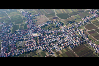 Vue aérienne de Panorama de la ville et des environs à le quartier Diedesfeld in Neustadt an der Weinstraße dans le département Rhénanie-Palatinat, Allemagne