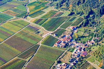 Vue aérienne de Andergasse à le quartier Diedesfeld in Neustadt an der Weinstraße dans le département Rhénanie-Palatinat, Allemagne