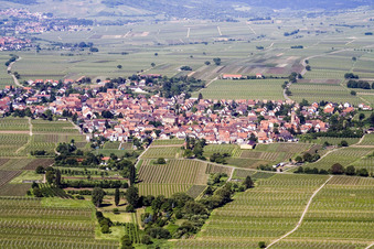 Vue aérienne de De l'est à le quartier Nußdorf in Landau in der Pfalz dans le département Rhénanie-Palatinat, Allemagne