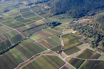 Vue aérienne de Paysage viticole des régions viticoles du district de Hambach à le quartier Diedesfeld in Neustadt an der Weinstraße dans le département Rhénanie-Palatinat, Allemagne