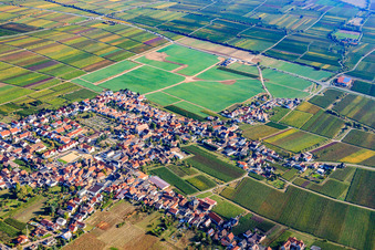Vue aérienne de Village viticole du sud-ouest à le quartier Diedesfeld in Neustadt an der Weinstraße dans le département Rhénanie-Palatinat, Allemagne