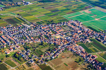 Vue aérienne de Village viticole du sud-ouest à le quartier Diedesfeld in Neustadt an der Weinstraße dans le département Rhénanie-Palatinat, Allemagne