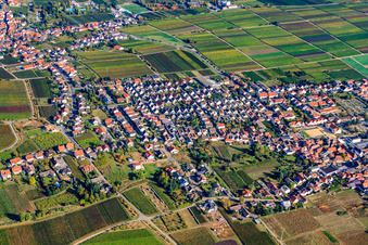 Vue aérienne de Au verger de cerisiers à le quartier Diedesfeld in Neustadt an der Weinstraße dans le département Rhénanie-Palatinat, Allemagne