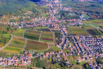 Vue aérienne de Au verger de cerisiers à le quartier Hambach an der Weinstraße in Neustadt an der Weinstraße dans le département Rhénanie-Palatinat, Allemagne