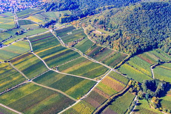 Vue aérienne de Bordure de Haardt à Eichelberg à Maikammer dans le département Rhénanie-Palatinat, Allemagne