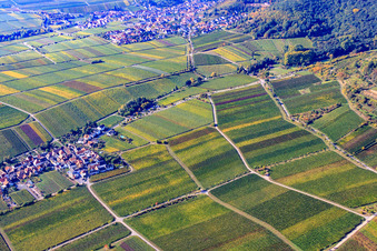 Vue aérienne de Kalmithöhenstraße entre les vignes à Maikammer dans le département Rhénanie-Palatinat, Allemagne