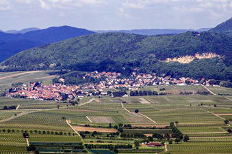 Vue aérienne de Place dans les vignes de l'est à Frankweiler dans le département Rhénanie-Palatinat, Allemagne