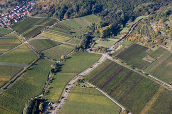 Vue aérienne de Kalmithöhenstr à Maikammer dans le département Rhénanie-Palatinat, Allemagne