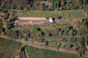 Vue aérienne de Cabane viticole sur l'Eichelberg à Maikammer dans le département Rhénanie-Palatinat, Allemagne