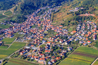 Vue aérienne de Village viticole du nord-est à le quartier SaintMartin in Sankt Martin dans le département Rhénanie-Palatinat, Allemagne