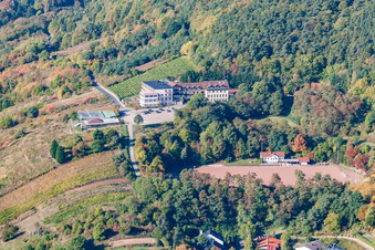 Vue aérienne de Terrain de sport de Saint-Martin à le quartier SaintMartin in Sankt Martin dans le département Rhénanie-Palatinat, Allemagne