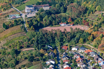 Vue aérienne de Terrain de sport de Saint-Martin à le quartier SaintMartin in Sankt Martin dans le département Rhénanie-Palatinat, Allemagne