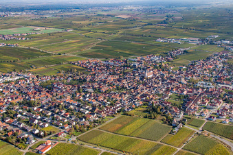 Vue aérienne de De l'ouest à Maikammer dans le département Rhénanie-Palatinat, Allemagne