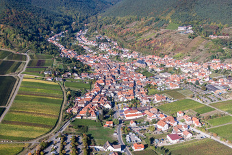 Vue aérienne de Village - Vue sur la lisière du Haardt de la forêt du Palatinat entre les vignes à le quartier SaintMartin in Sankt Martin dans le département Rhénanie-Palatinat, Allemagne