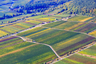 Vue aérienne de Route du monastère entre les vignes à Edenkoben dans le département Rhénanie-Palatinat, Allemagne
