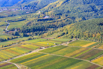 Vue aérienne de Route du monastère entre les vignes à Edenkoben dans le département Rhénanie-Palatinat, Allemagne