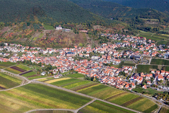 Photographie aérienne de Village - Vue sur la lisière du Haardt de la forêt du Palatinat entre les vignes à le quartier SaintMartin in Sankt Martin dans le département Rhénanie-Palatinat, Allemagne