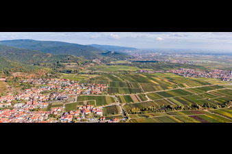 Vue aérienne de Vue sur la plaine du Rhin en bordure du Haardt de la forêt du Palatinat entre les vignes à le quartier SaintMartin in Sankt Martin dans le département Rhénanie-Palatinat, Allemagne