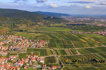 Vue aérienne de Vue du château de Hambach à le quartier SaintMartin in Sankt Martin dans le département Rhénanie-Palatinat, Allemagne