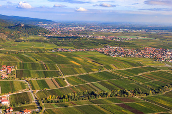Vue aérienne de Vue sur la ville avec vue sur le château de Hambach à Maikammer dans le département Rhénanie-Palatinat, Allemagne