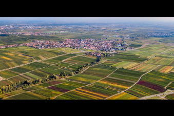 Vue aérienne de Vue de la ville depuis le nord-ouest en bordure des vignes à Maikammer dans le département Rhénanie-Palatinat, Allemagne
