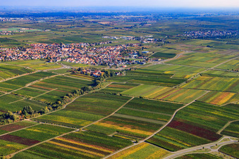 Vue aérienne de Vue de la ville depuis le sud-ouest en bordure des vignes à Maikammer dans le département Rhénanie-Palatinat, Allemagne