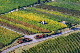 Vue aérienne de Wingerthäusle à Edenkoben dans le département Rhénanie-Palatinat, Allemagne